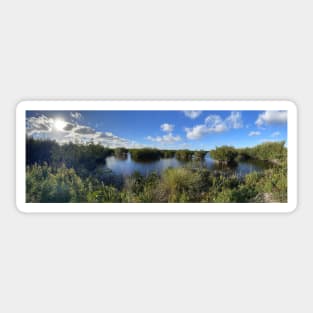 Florida Everglades Sticker